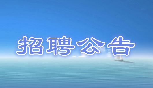 廣州市南沙區國土資源和規劃局公開招聘編外人員公告
