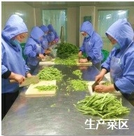 菜區(qū).jpg